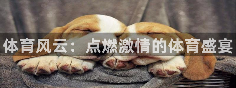 so米体育足球直播：体育风云：点燃激情的体育盛宴