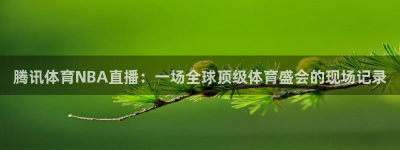 so米体育nba直播免费观看：腾讯体育NBA直播：一场全球顶级体育盛会的现场记录