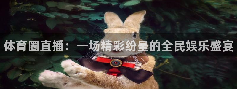 so米体育直播官网：体育圈直播：一场精彩纷呈的全民娱乐盛宴