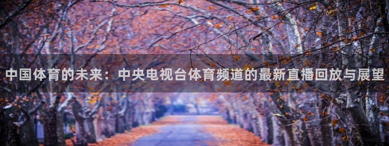 so米体育在线高清直播：中国体育的未来：中央电视台体育频道的最新直播回放与展望