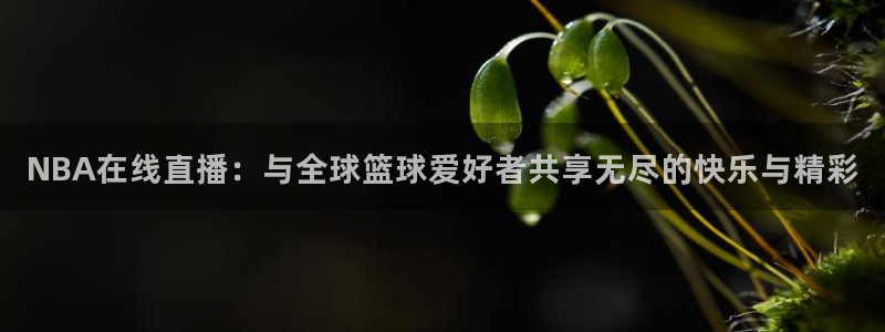 so米篮球体育直播nba：NBA在线直播：与全球篮球爱好者共享无尽的快乐与精彩